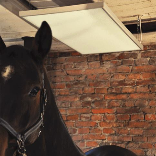 Infrared heating for horses